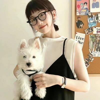 追求美国梦